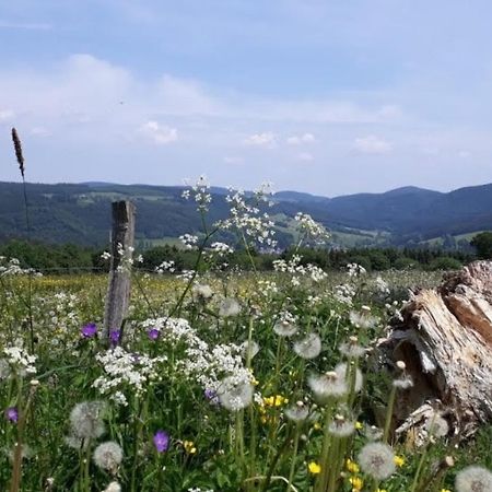 Ferienwohnungen Michel Winterberg Exteriér fotografie