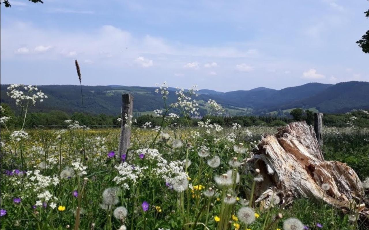 Ferienwohnungen Michel Winterberg Exteriér fotografie